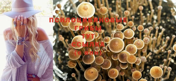 а пвп мука Ессентукская