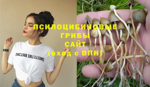 гашик Санкт-Петербург