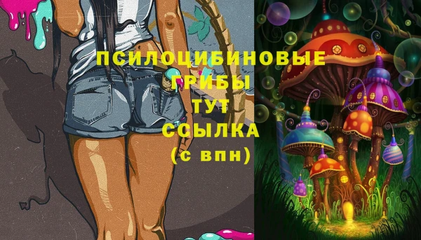 гашик Санкт-Петербург