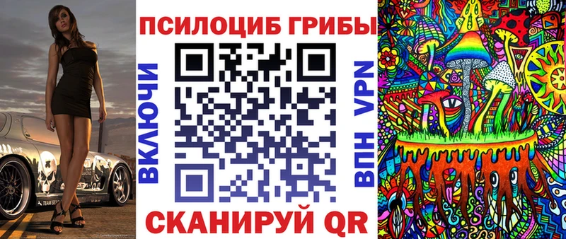 Псилоцибиновые грибы Psilocybine cubensis  хочу   Артёмовск 